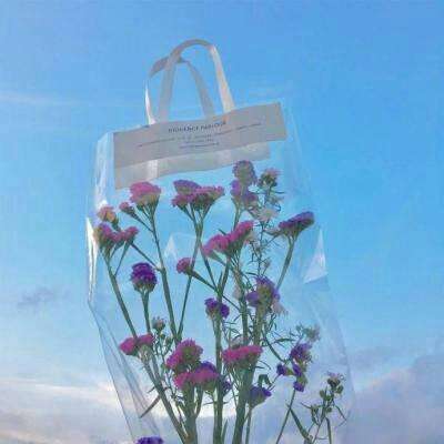 金博宝下载手机版